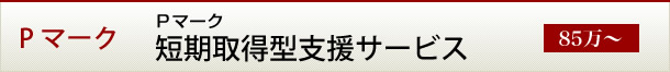 Pマーク 短期取得型支援サービス（85万～）